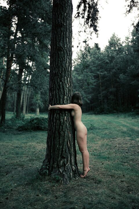 "Naturismo que acolhe, Natureza que conecta" (SPNAT Encontro) — clothing-optional event in SPNAT event site, Atibaia, SP, Atibaia, São Paulo, photo from the event's own official site
