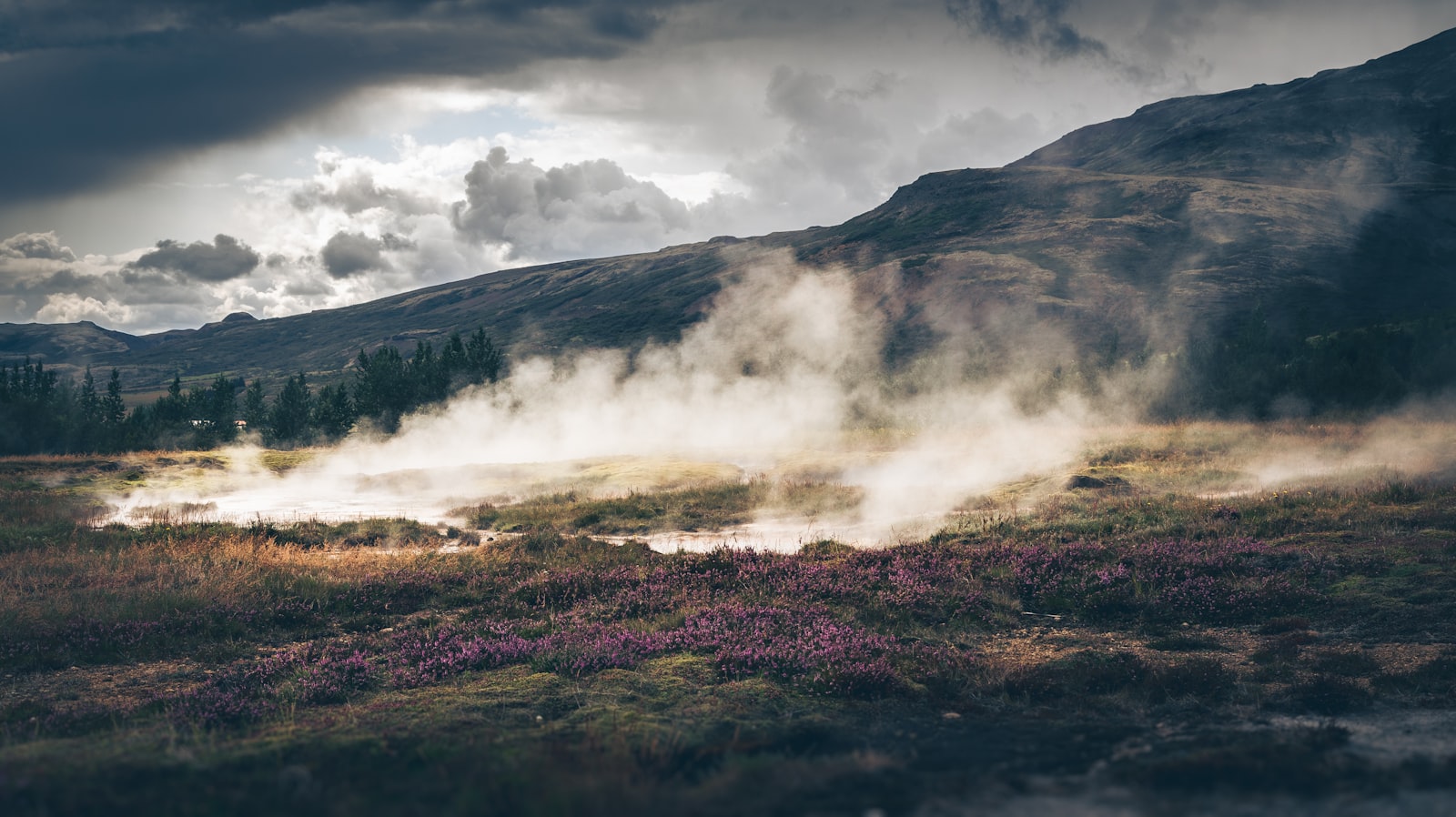 Steam rising from a valley hot spring of the kind used for nude and clothing-optional soaking