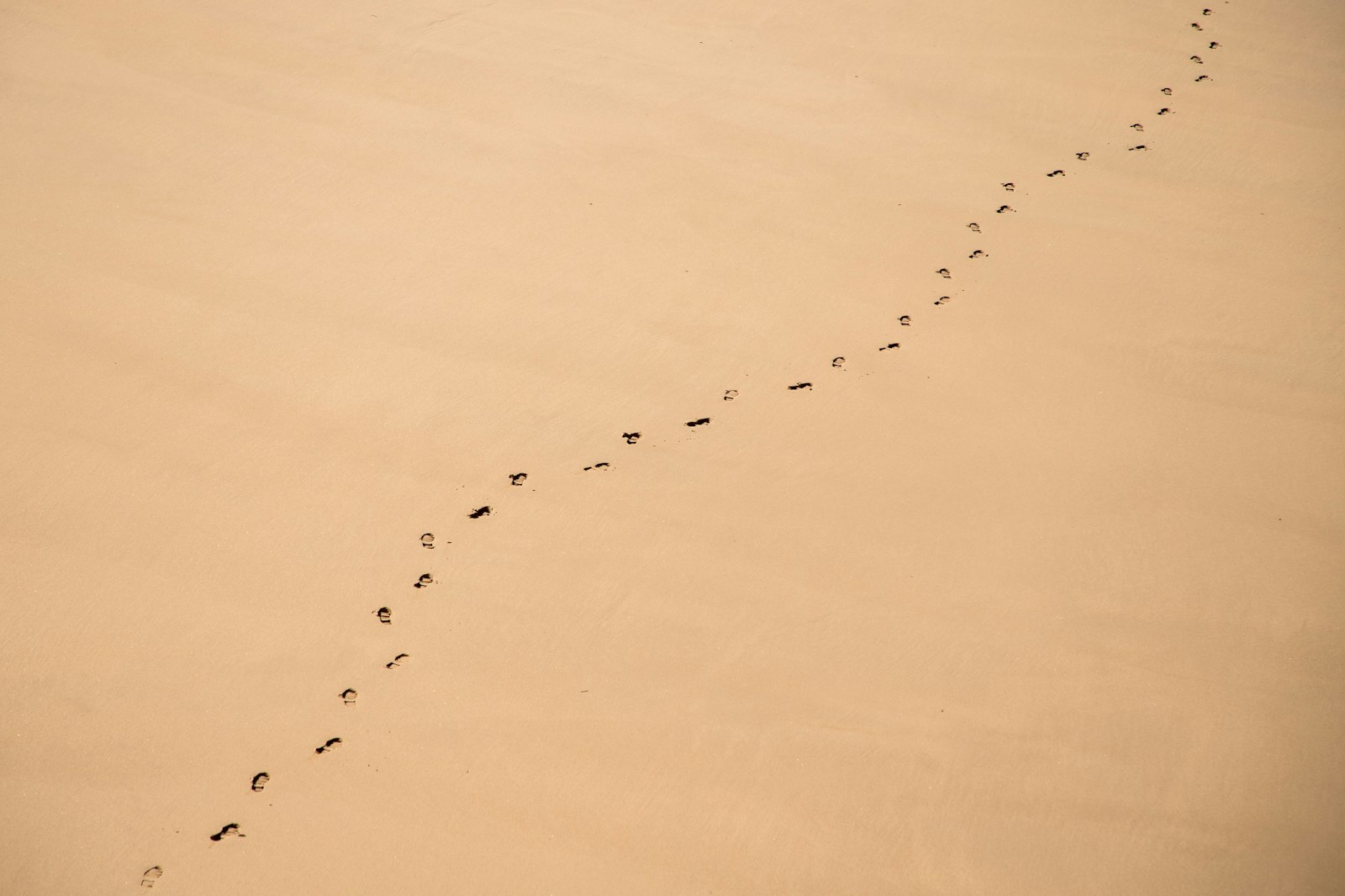 Footprints in the sand on a quiet nude and clothing-optional beach