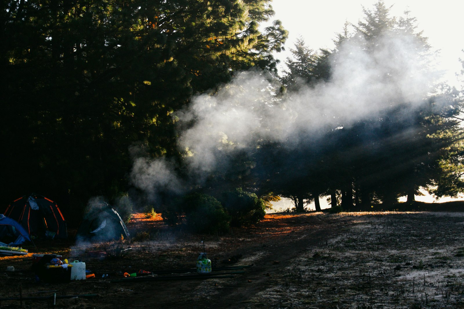 Campfire smoke rising at a wooded nude and clothing-optional camping site