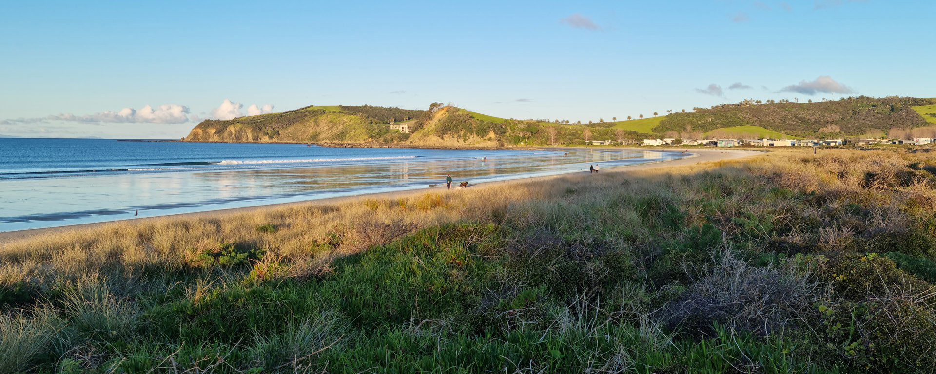 Nude and clothing-optional beache in Waiheke Island, Auckland — photo from Little Palm Beach's own website