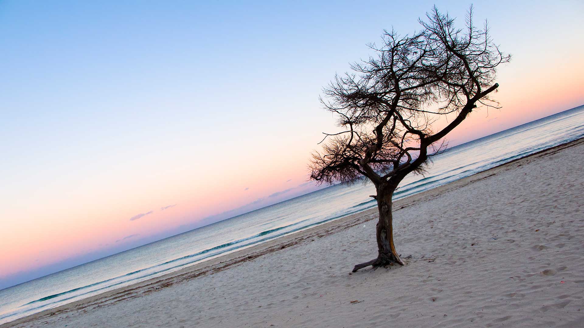 Nude and clothing-optional beache in Campos, Balearic Islands — photo from Es Trenc - naturist sectors's own website