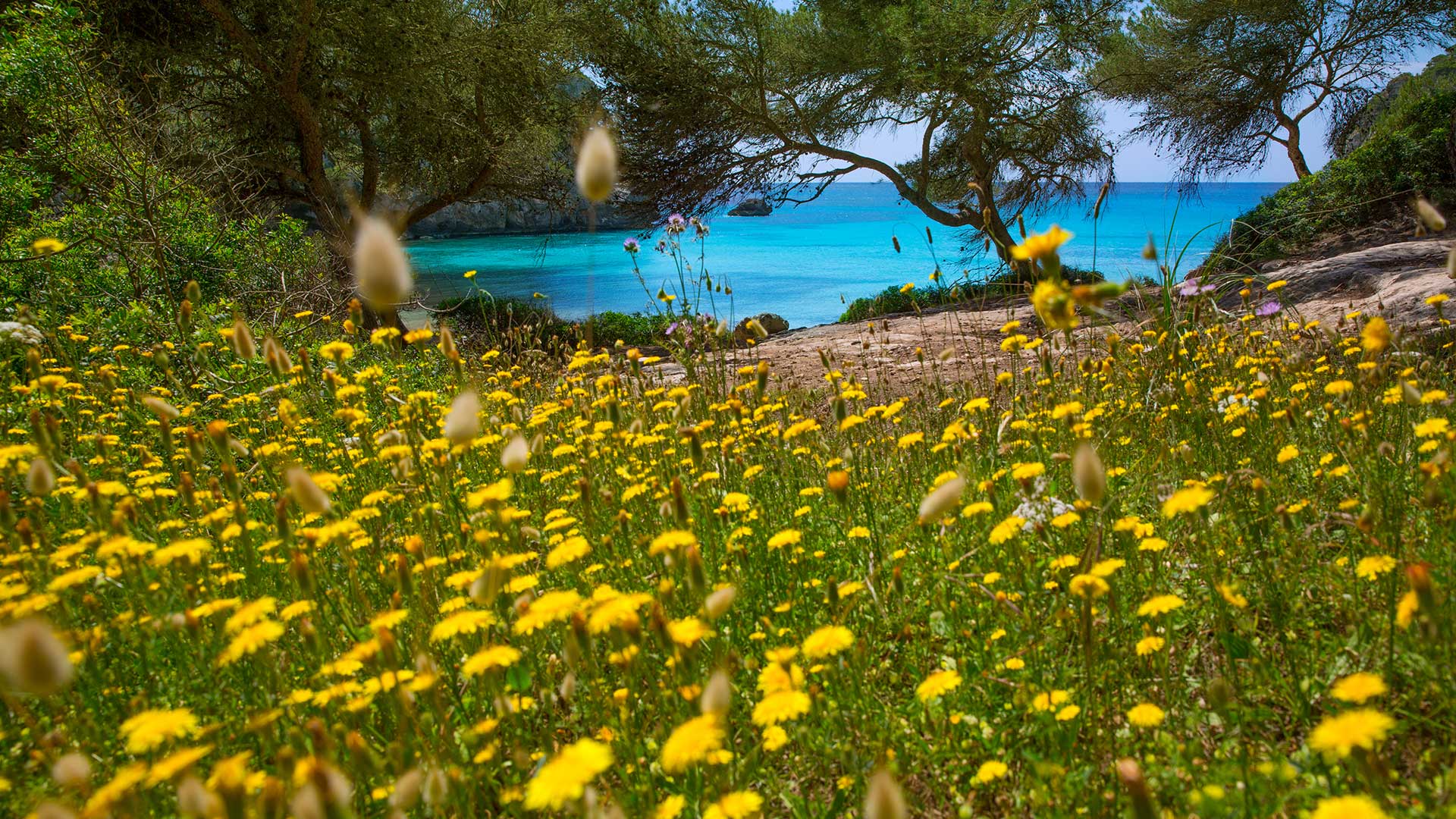 Nude and clothing-optional beache in Campos, Balearic Islands — photo from Es Trenc - naturist sectors's own website