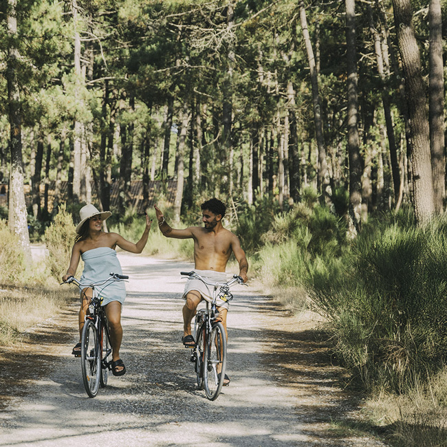 Nude and clothing-optional resort in Grayan-et-l'Hôpital, Nouvelle-Aquitaine — photo from Euronat's own website